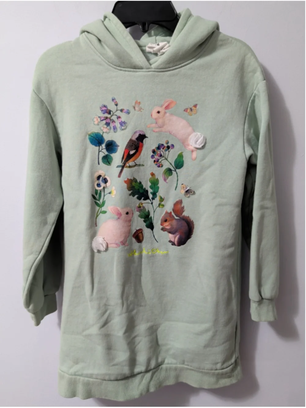 H&M Green Nature Animal Hoodie Sweatshirt Hooded Dress Woodli Chem 3D 8-10 Girls